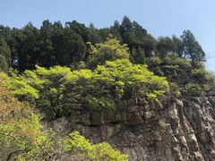 -龙洞风景区-藏龙涧