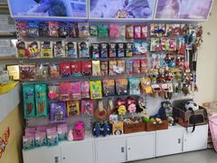 -瑞派宠物医院·24h·骨外科·皮肤科·全科宠物医疗转诊中心(沈阳浑南院)
