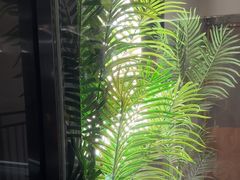 -耳湾躺式采耳SPA馆(保利五月花店)