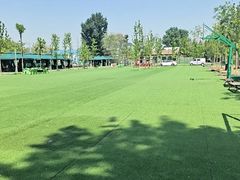 -尚庄度假村·庭台树下·户外烧烤·团建CS·轰趴营地(上庄水库店)