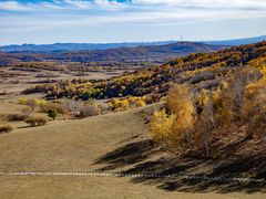 -塞罕坝国家级自然保护区