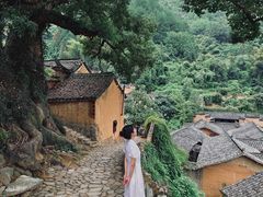 -杨家堂村
