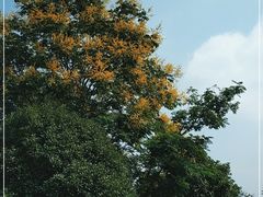 -院士公园