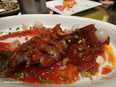 -金鼎轩(方庄天坛店)