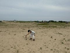 -日照海滨国家森林公园
