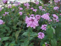 -福清灵石山国家森林公园