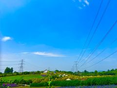 -紫颐香薰山谷景区