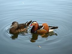 -北山街历史文化街区