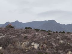-白水寺森林公园