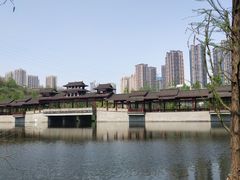 -重庆彩云湖湿地公园