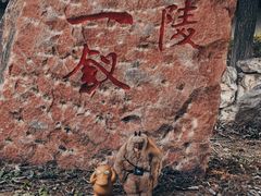 -盛世南宫影视城(北普陀影视城)