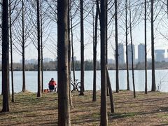 -金银湖国家城市湿地公园