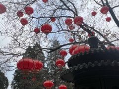 -香山公园