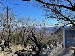 -阳台山自然风景区