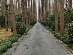 -上海怡沁园度假酒店