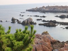 -养马岛旅游度假区