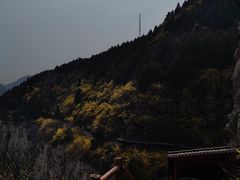 -佛慧山