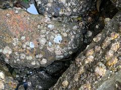 -泊石湾海滨浴场
