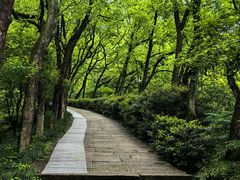 -宁波市保国寺古建筑博物馆