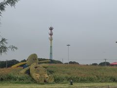 -嘉北郊野公园