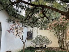 -西园戒幢律寺