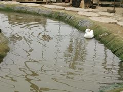 -河北村民俗体验园