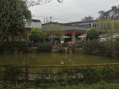 -三圣花乡旅游区