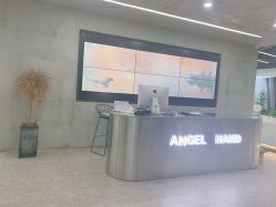 -ANGELHAND