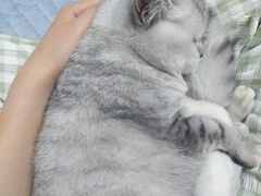 -宠颐生动物医院·心脏科·保险定点(锦阳分院)