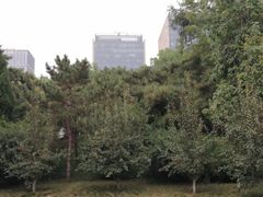 -元大都城垣遗址公园