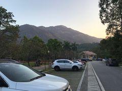 -广州市流溪河国家森林公园