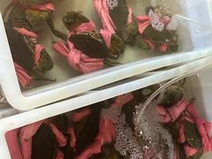 -木木鲜海鲜面(天一店)