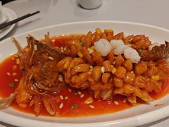 松鼠桂鱼-沈大成(南京东路店)