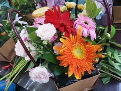 -馨摇篮月子会所(鄠邑区店)