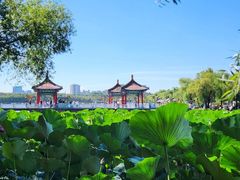 -长春市南湖公园