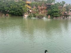 -长鹿旅游休博园