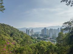 -金鸡山公园