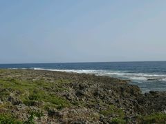 android_upload_pic-鹅銮鼻公园