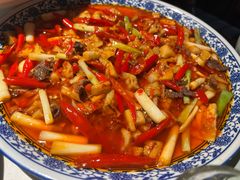 -院8里·小聚园老川菜(九眼桥店)