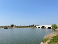 -西京湾花海