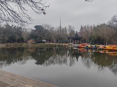 -泰州凤城河风景区-泰山公园