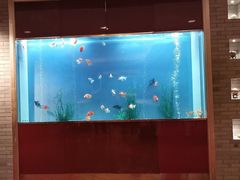 -阳澄湖费尔蒙酒店颐丰阁中餐厅(马鞍山西路店)