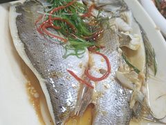 -日日香卤鹅饭店·澄海狮头鹅(澄海店)