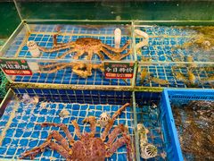 -飞尝蚝·顺德菜·鱼生(顺德总店)