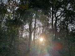 -桃花岭景区