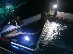 -暹罗海洋世界