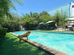 -汪说喵讲宠物乐园宠物酒店(红星美凯龙店)