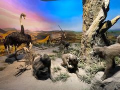 -国家自然博物馆