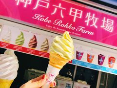 開心果冰淇淋-神户六甲牧场(北野本店)