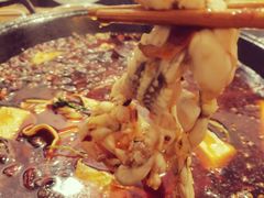 -鸿顺老铁锅美蛙鱼府(解放碑店)